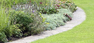 Landscaping, planting, maintenance and design are all offered by Jaykey